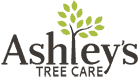 Ashley's Tree Care Logo