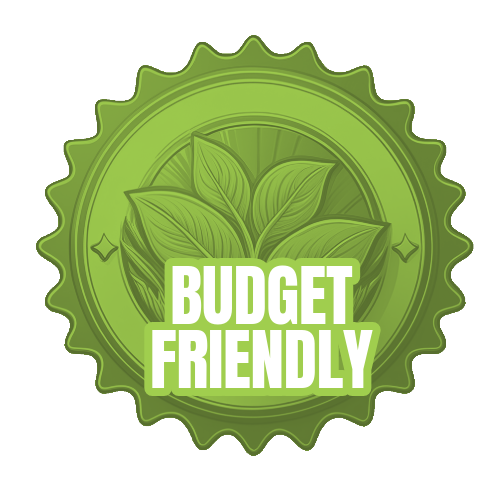 budget friendly loading=